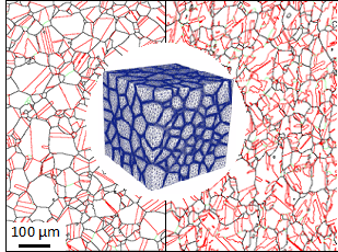 Microstructures d'un superalliage base nickel
